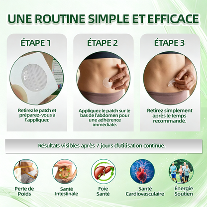 Boutique Officielle de France | 🩺 Healrize® Moringa · Berbérine × NAD+ 12-en-1 Avancé Patch nano à micro-aiguilles — Application une fois par jour, résultats visibles🎂