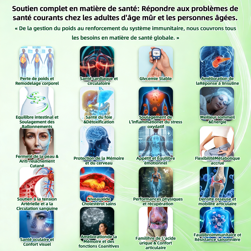 Boutique Officielle de France | 🩺 Healrize® Moringa · Berbérine × NAD+ 12-en-1 Avancé Patch nano à micro-aiguilles — Application une fois par jour, résultats visibles🎂